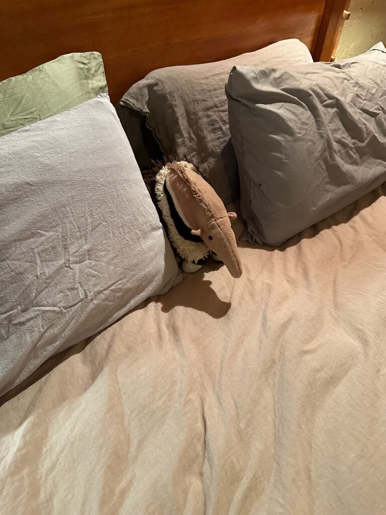 the stuffed armadillo toy