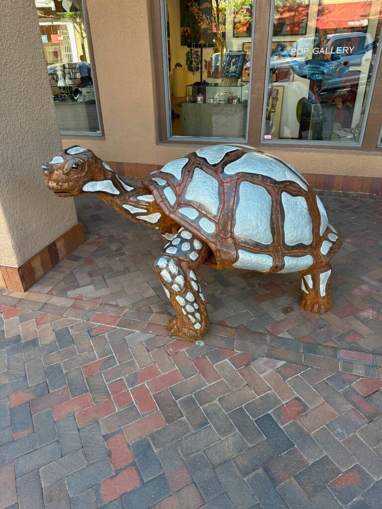 tortoise sculpture