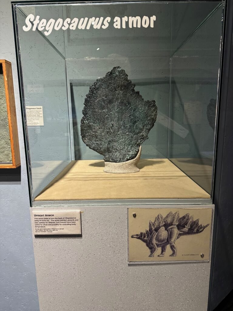 realistic bronze replica of a piece of stegosaurus armor